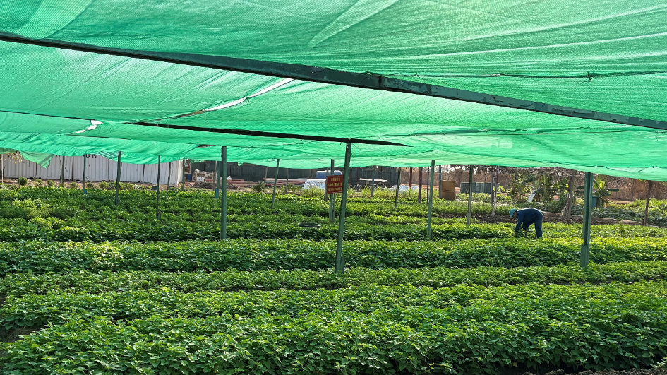 /UploadStore/admin/260113 ORI/8.png